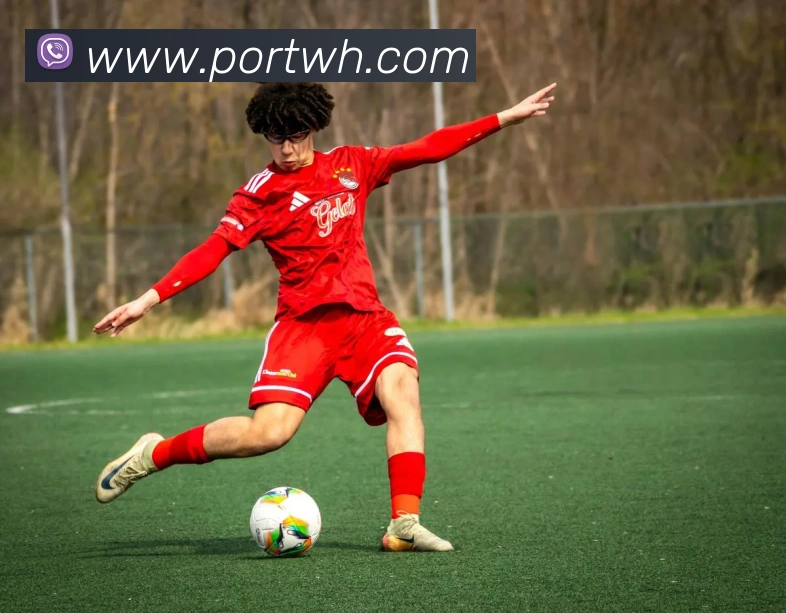 九游电子娱乐入口APP 封面图